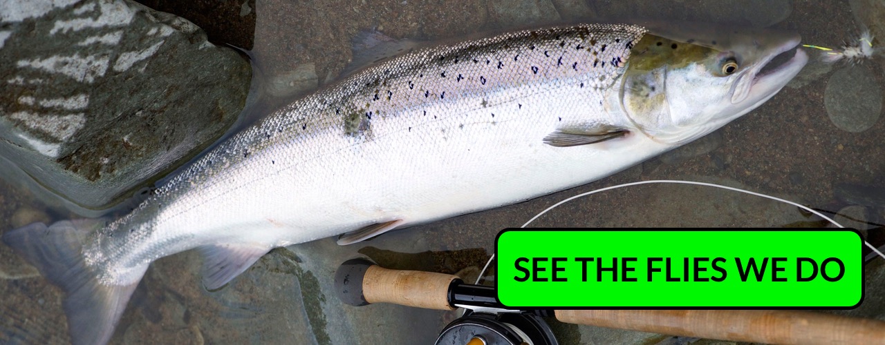 salmon on dry fly