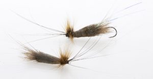 Caddisfly for salmon