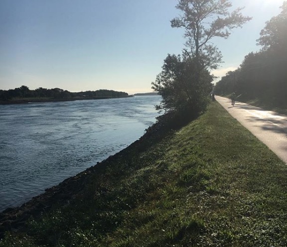 striped bass fly fishing The Cape Cod Canal