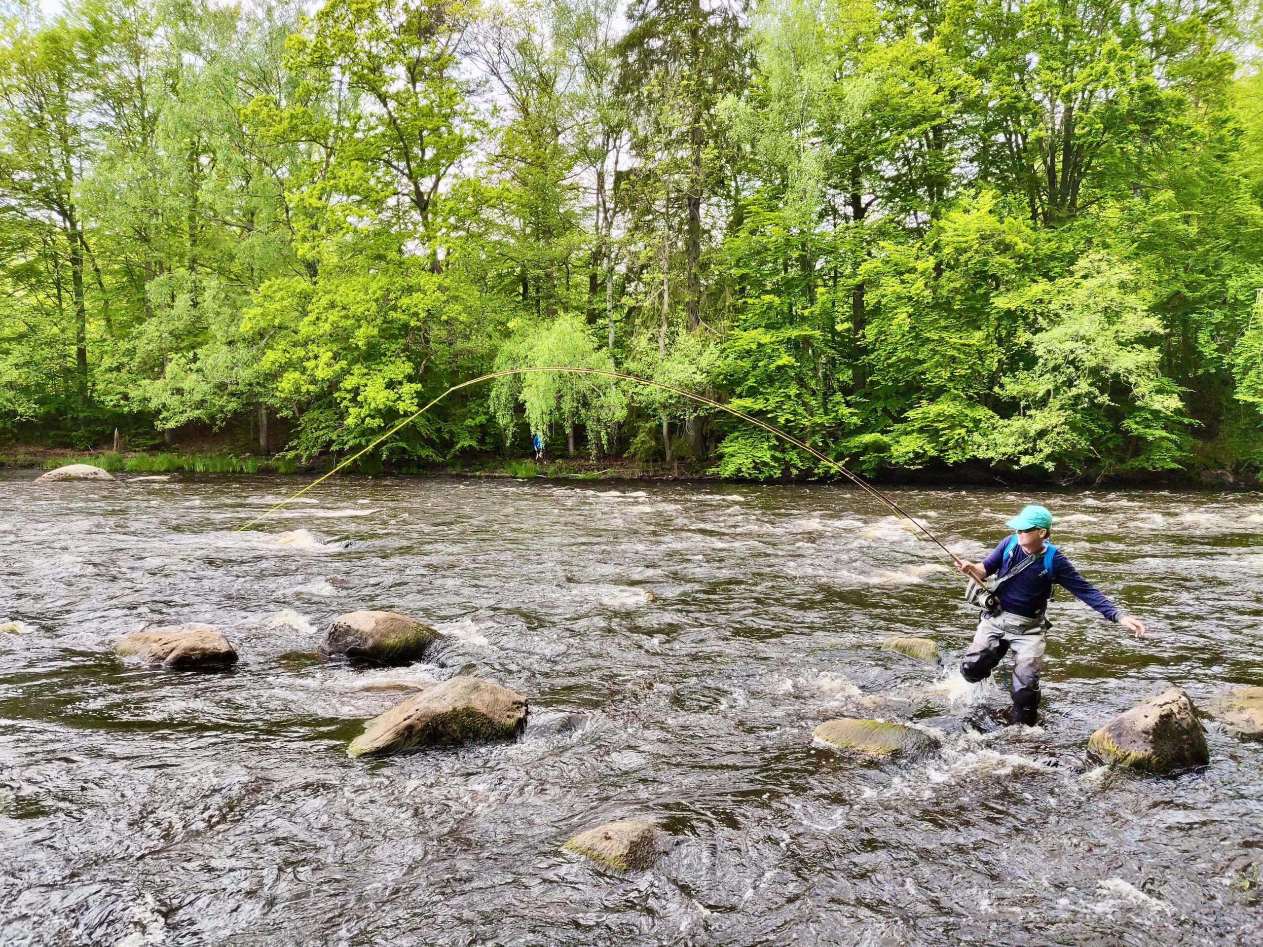 Fly fishing Morrum River