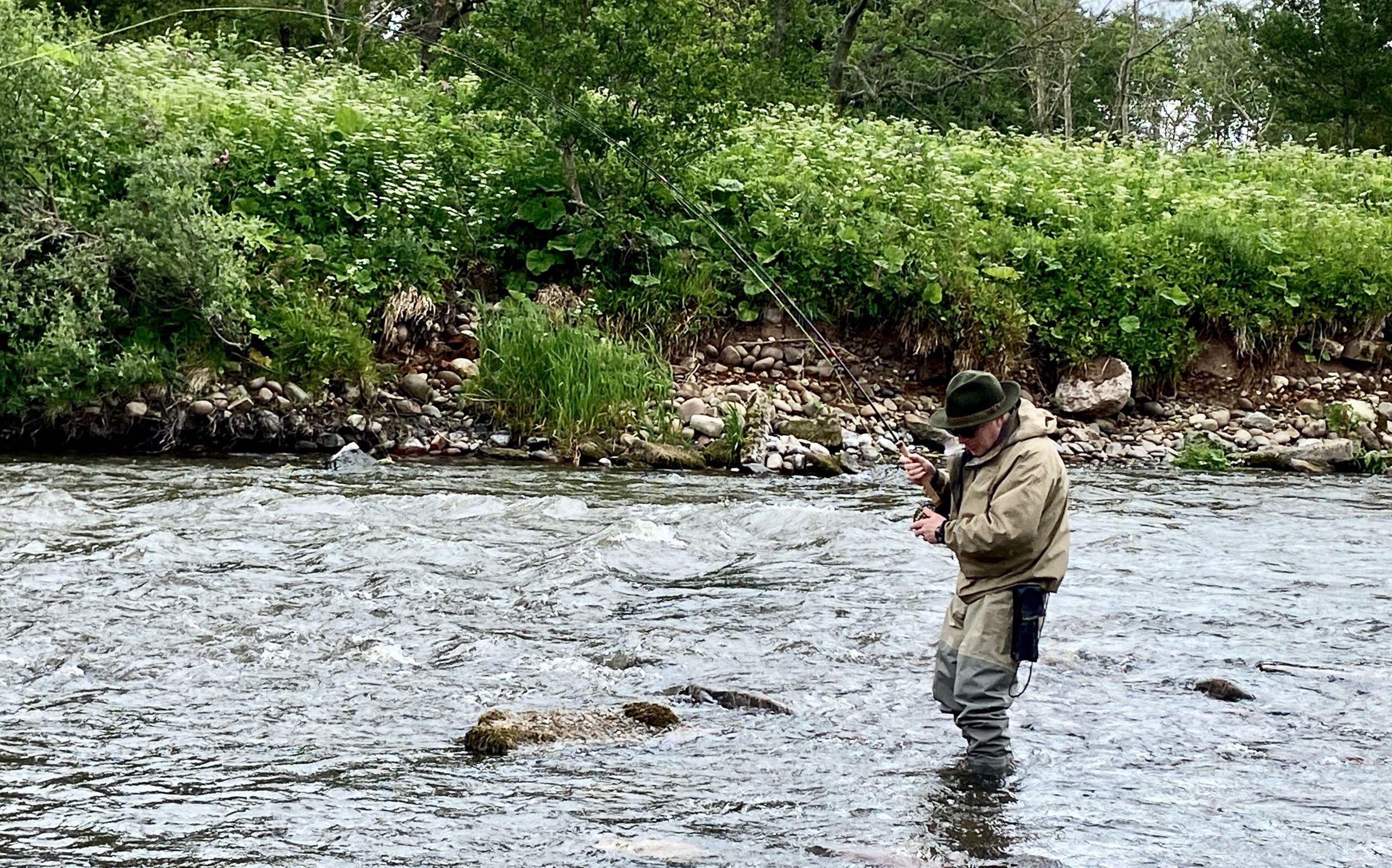 Jerry Rothman North Esk