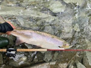 Jesper Fohrmann salmon