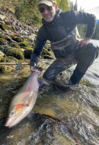 Steelhead on the surface fly