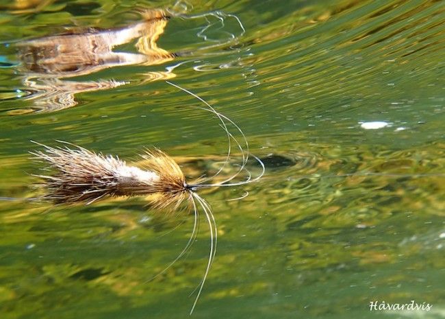 Monster Tube Caddis Salmon Dry Fly