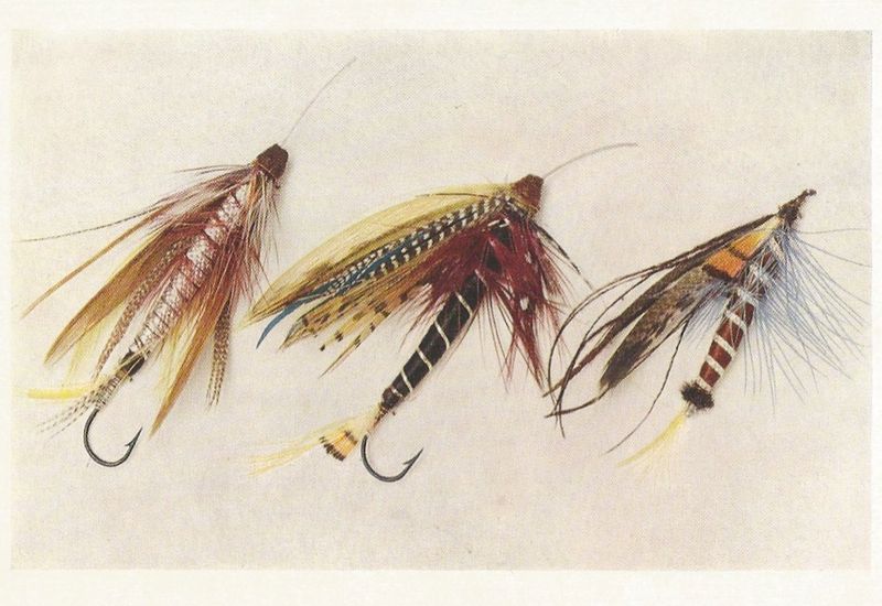 The first tube flies Alexander Wanless